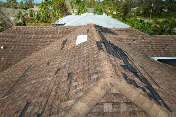 Eagle Roofing and Construction LLC Comprehensive Roofing Services