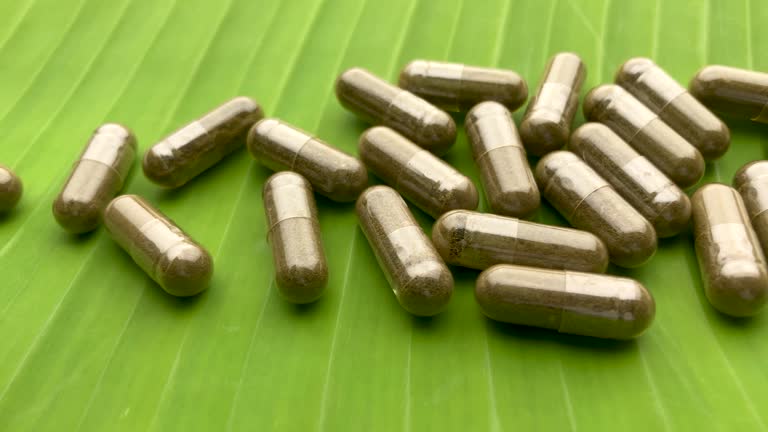 A Beginner’s Guide on How to Grow Kratom at Home